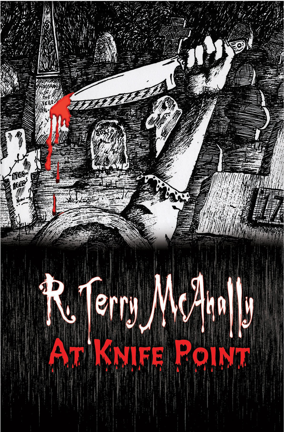 At Knife Point finished Book Cover